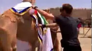 TAR 23 Episode 8 