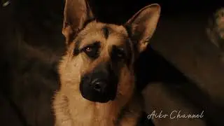 |•Дельгадо•| Клип ~Крошка из Беверли Хиллз~
