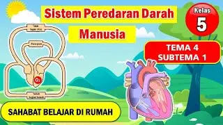 MEDIA PEMBELAJARAN SISTEM PEREDARAN DARAH MANUSIA