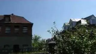 Голуби Поляки