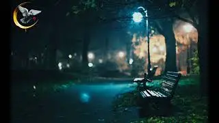 #New #Nashid 🍃🍂 ZaNbiy[ #Новый #Нашид #Занби] 🤲🌙