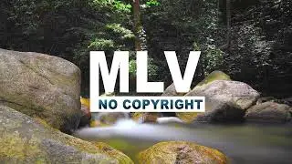 Saxohouse Music: Elevate - Liqwyd (No Copyright Music)