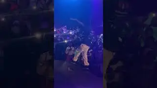 Canicee Performing at Holobye