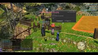 How not to buy a large plot in FFXIV (Patch 5.35)
