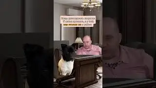 Делай то, что должен!😂 #смех #юмор #smm #таргет