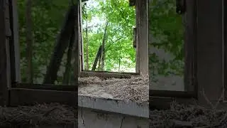 29 сентября 2023 г.