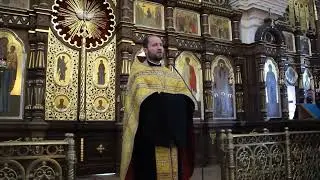 Проповедь в Неделю 27 ю по Пятидесятнице о 10 ти прокаженных