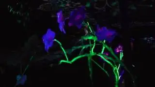 Simsalaboom Festival 2016 (Goa Floor / Dark Psy) (Part 1)