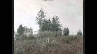 Damien JURADO - With Lightning in Your Hands (2010)