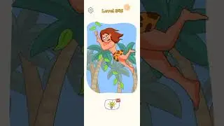 Dop 4 level 346