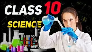 Best YouTube Channel For Class 10 Science | CBSE NCERT & All Boards | #class10 #class10science