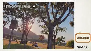 비타어플로 멋진영상만들기