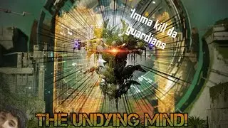 The Undying Mind! Destiny 2: Vex Offensive Final Assault!