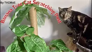 Banana Tree Cat Scratching Post by TVCMall review