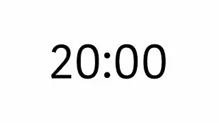 20 Minutes Countdown Timer 4K (no sound) - White