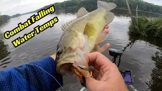 Falling Water Temperatures? No Problem! Catch Bass With These Tips!