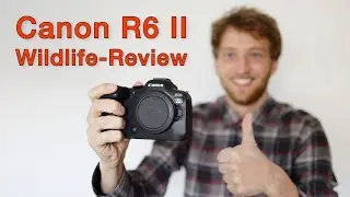 The BEST camera for wildlife photography? Canon R6 II - My experience (Review)