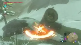 Acorn in a Log - The Legend of Zelda: Breath of the Wild.