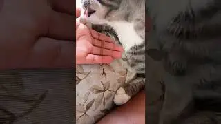 her tongue is spiky