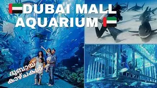 Dubai Mall Aquarium Outside view | World Largest Aquarium | Dubai tourism  #shorts #viral