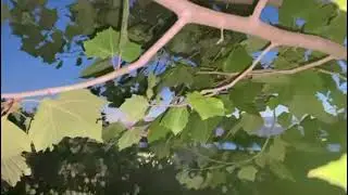 مغرب