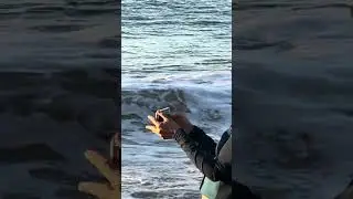 Снимаем...., снимаем и иногда просто снимаем всех тех, кто желает быть снятым