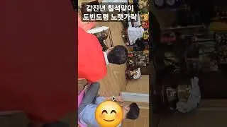 #shorts #갑진년#칠석#견우와직녀#도빈도령 #도빈도령 #기도 #송파점집