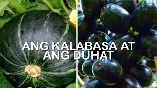 Ang Kalabasa at ang Duhat - TMA TV