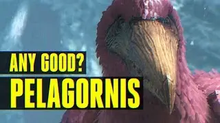 Pelagornis - How to Tame/Everything you need to know! (Ark: Survival Evolved)