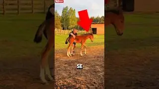 This video went viral when this foal 😨 