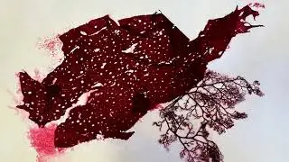 Pressing Nature, Cindy Wright at the Metchosin Artpod