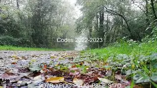 CODES 2022  | CÓDIGOS 2022 | КОДЫ 2022