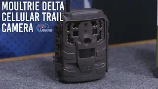 Moultrie Delta Cellular Trail Camera
