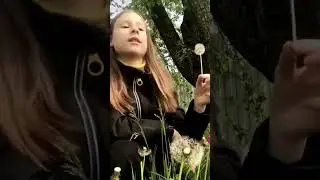 #likevideo #tiktok #тренд #одуванчики #природа #trend #trendingshorts #like #shorts #лето #мило