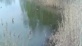 Двухдневная рыбалка за городом