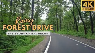 Rainy Forest Drive & A story of Jim Corbett | The bachelor of powalgarh
