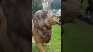 Escultura de Leão em bronze para a sua mansão. Envio para todo Brasil. #paisagismo #escultura #leão
