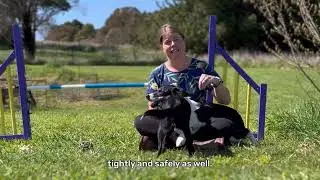Introducing our Collection and tight turns Agility Masterclass!