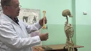 Видеолекция 