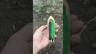 Приспособление для туризма. #shorts #fishing #short #природа