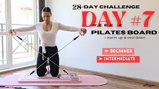 28 DAY PILATES BOARD CHALLENGE | DAY 7 - beginner challenge | abs + upper body