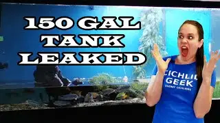 150 GALLON AQUARIUM DISASTER - Finding opportunity in chaos - FSXM S03E04