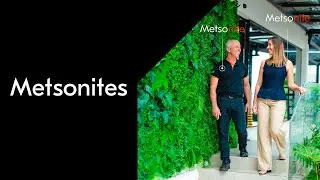 Conheça os Metsonites