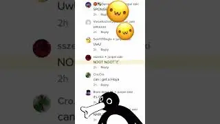 Remixing my TikTok comments 😂🤣 Noot Noot