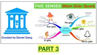 LEARNING ENGLISH: FIVE SENSES. Năm Giác Quan. PART 3.