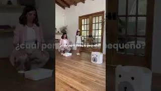 🧠 ¿Tu Hijo Tiene Dificultades Sensoriales? ✨ Descubre Cómo Ayudarlo en Casa ❤️ #cursoonline