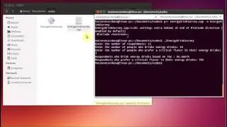 Energy Drink Survey C++ Code (Linux)