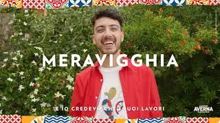 Benvenuti in Open Market Averna - Meravigghia