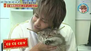 [Vietsub][Itadaki High JUMP] | 25/01/2017 | Khi Hikaru Yaotome yêu mèo (cut)