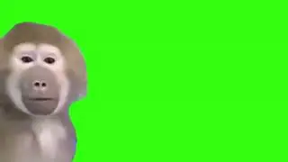 Confused monkey meme green screen